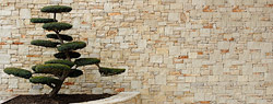 stone cladding